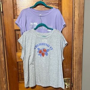 NWT Fit Collective Tees Set of 2 Size 1x Crushing It and In My Fearless Era